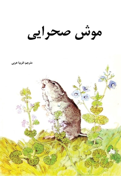 موش صحرایی
